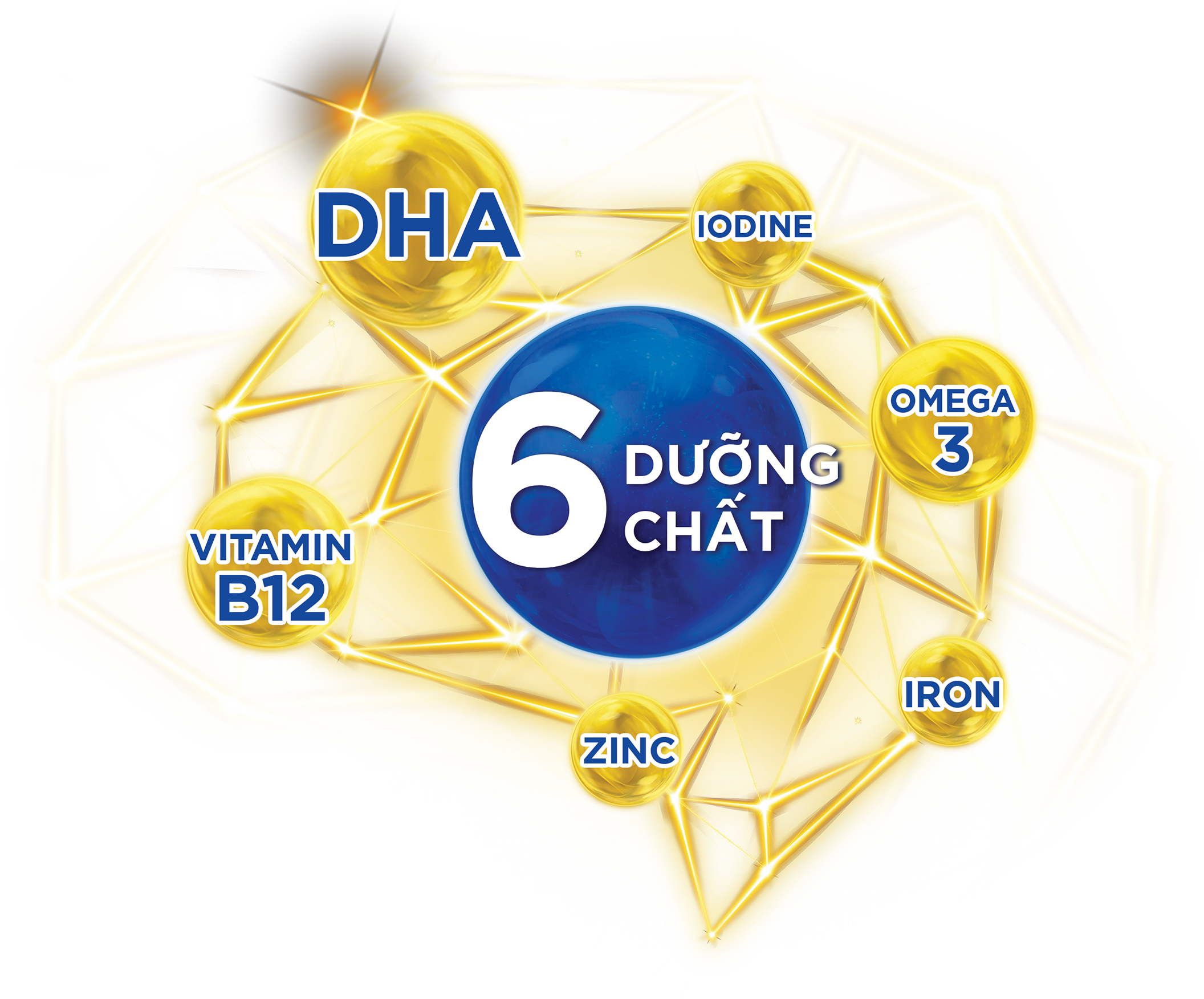 6-BRAIN 6 DUONG CHAT
